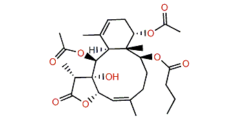 Renillin C